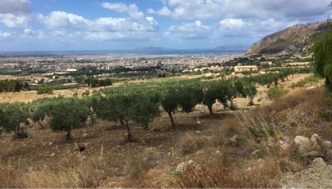 Tour in quad per 2 persone a Calatafimi Segesta